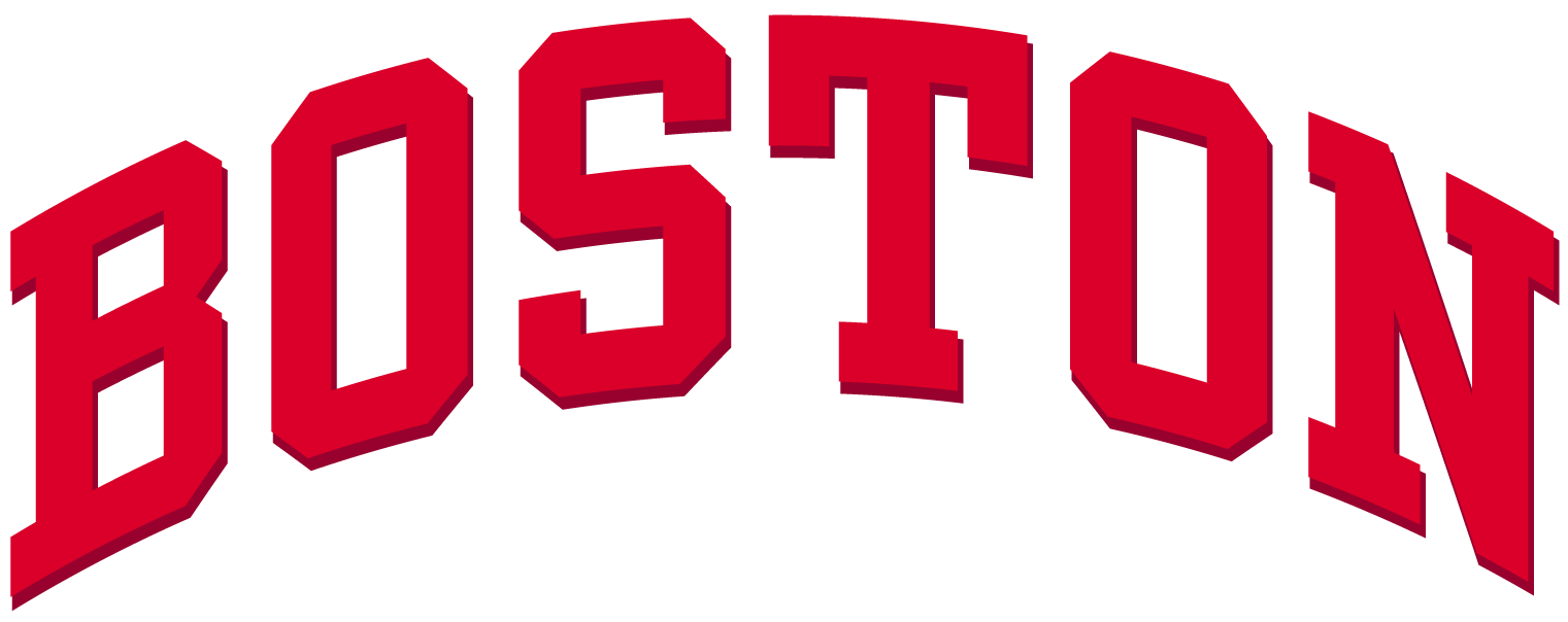 Boston University Terriers 2005-Pres Wordmark Logo v4 iron on transfers for clothing